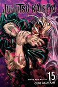 Jujutsu Kaisen. Sorcery Fight. vol. 15