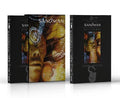 Sandman DC Absolute vol.4