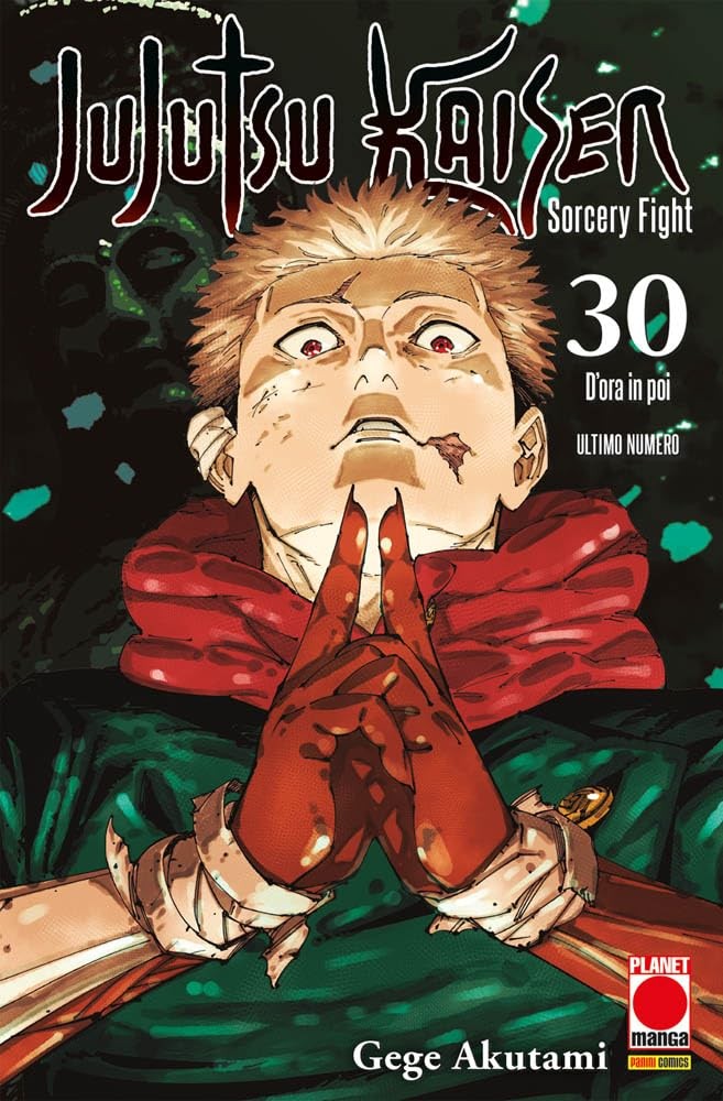 Jujutsu Kaisen. Sorcery fight vol.30
