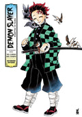 Nel corso del tempo. Demon slayer. Kimetsu no yaiba. Illustration book