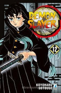 Demon slayer. Kimetsu no yaiba vol.12