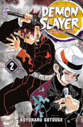 Demon slayer. Kimetsu no yaiba. New edition vol.2